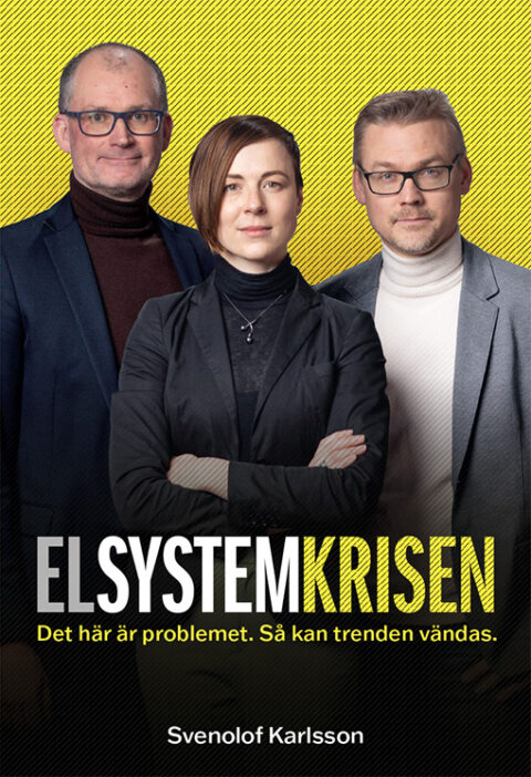 Elsystemkrisen-Omslag_510x746