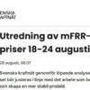 ”Modellen bäddade för kaos och extrema priser”