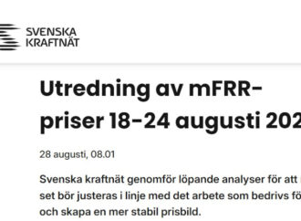 ”Modellen bäddade för kaos och extrema priser”