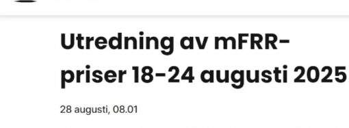 ”Modellen bäddade för kaos och extrema priser”
